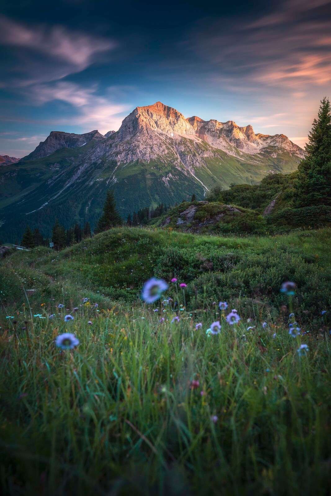 Lumière du soir sur la vallée des fleurs