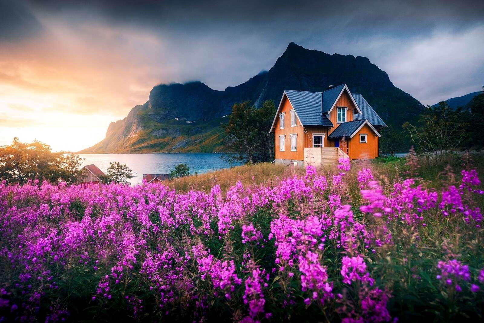 Maison orange sur un fjord violet.