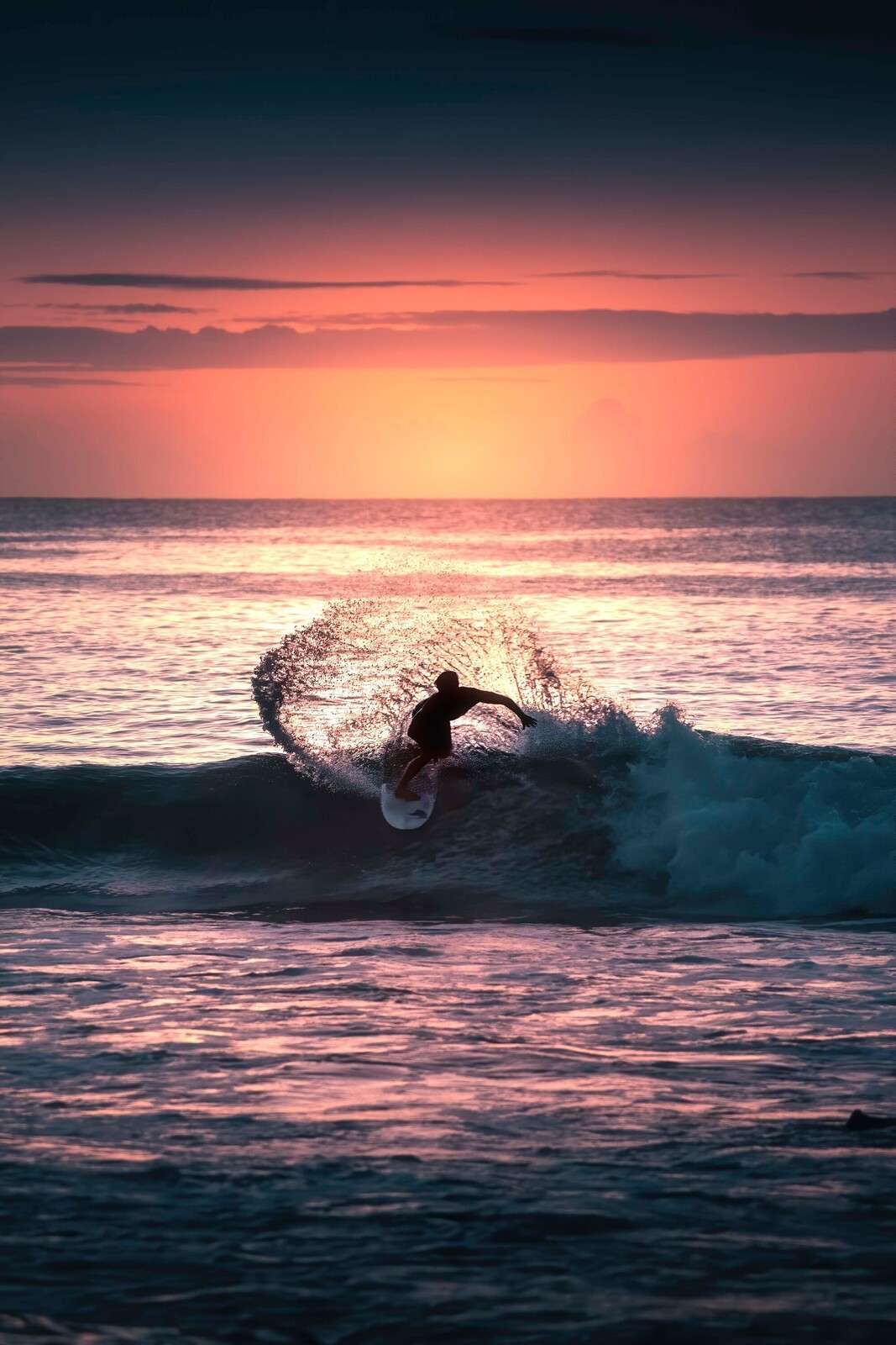 Surfeur dans la lueur rose du soir