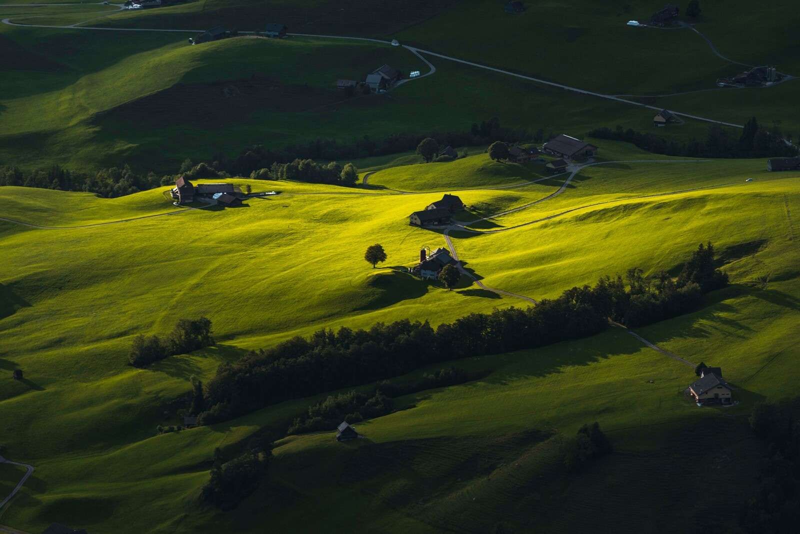 Collines vallonnées à la lumière du soir.