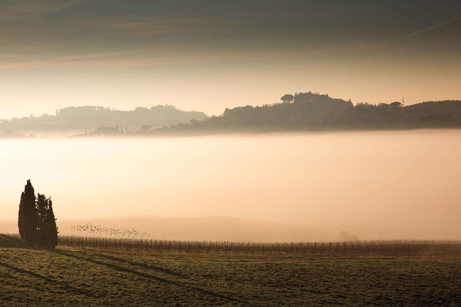 Collines dans la brume matinale toscane