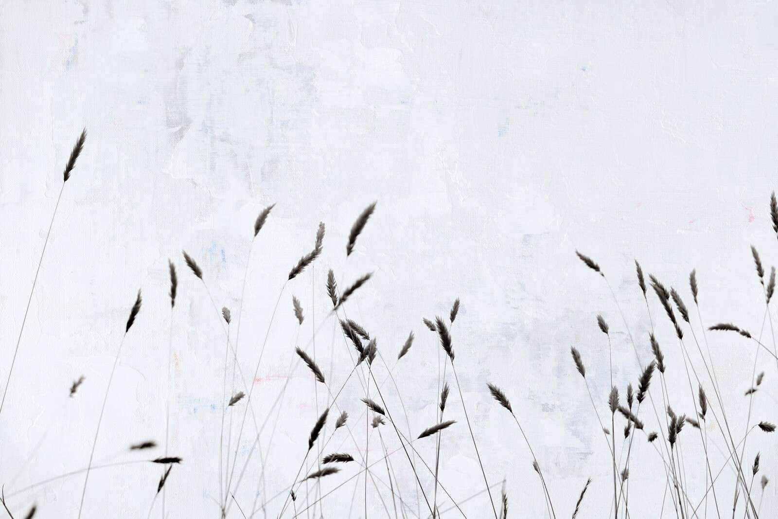 Herbe de champ minimaliste dans le silence