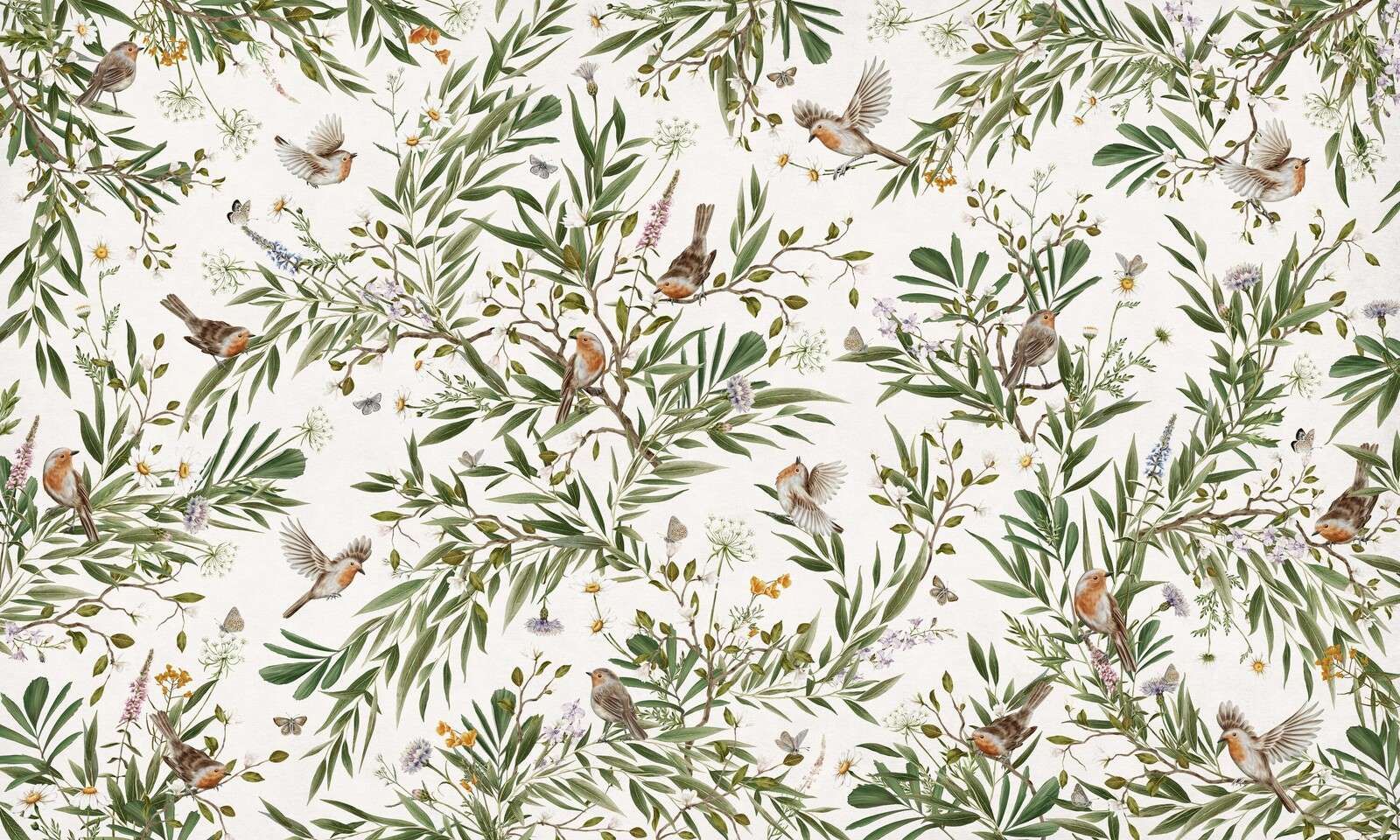 Playful Robins - White