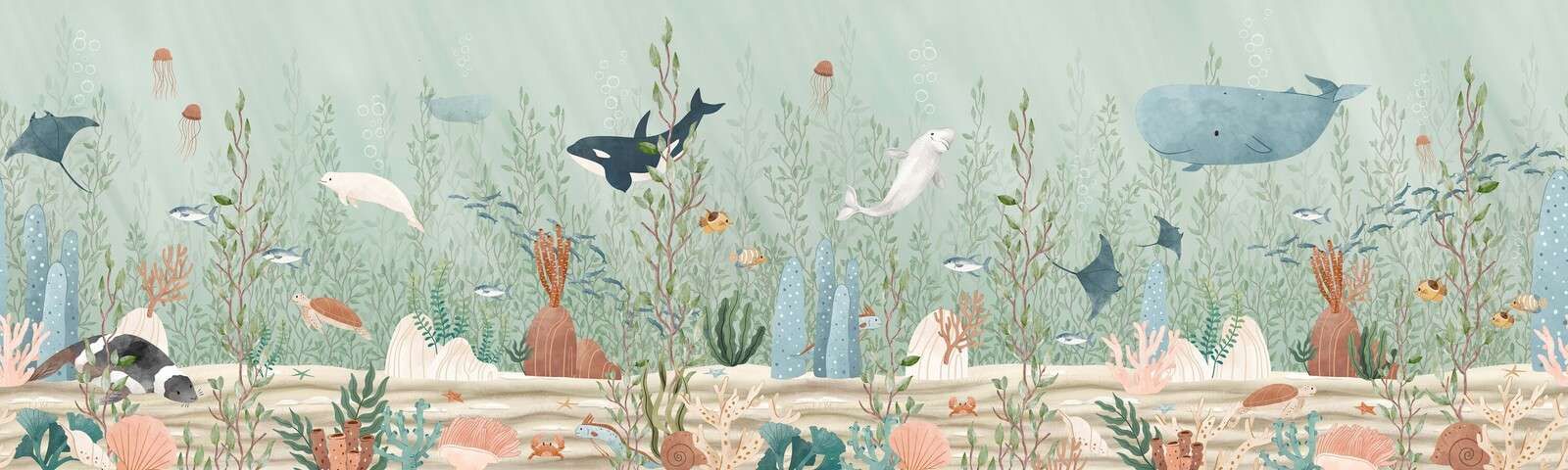 Forêt d'algues brunes - Panorama