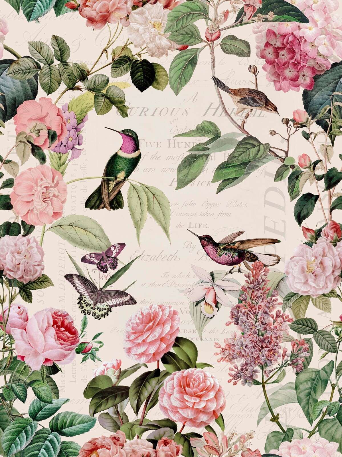 Colibris et roses