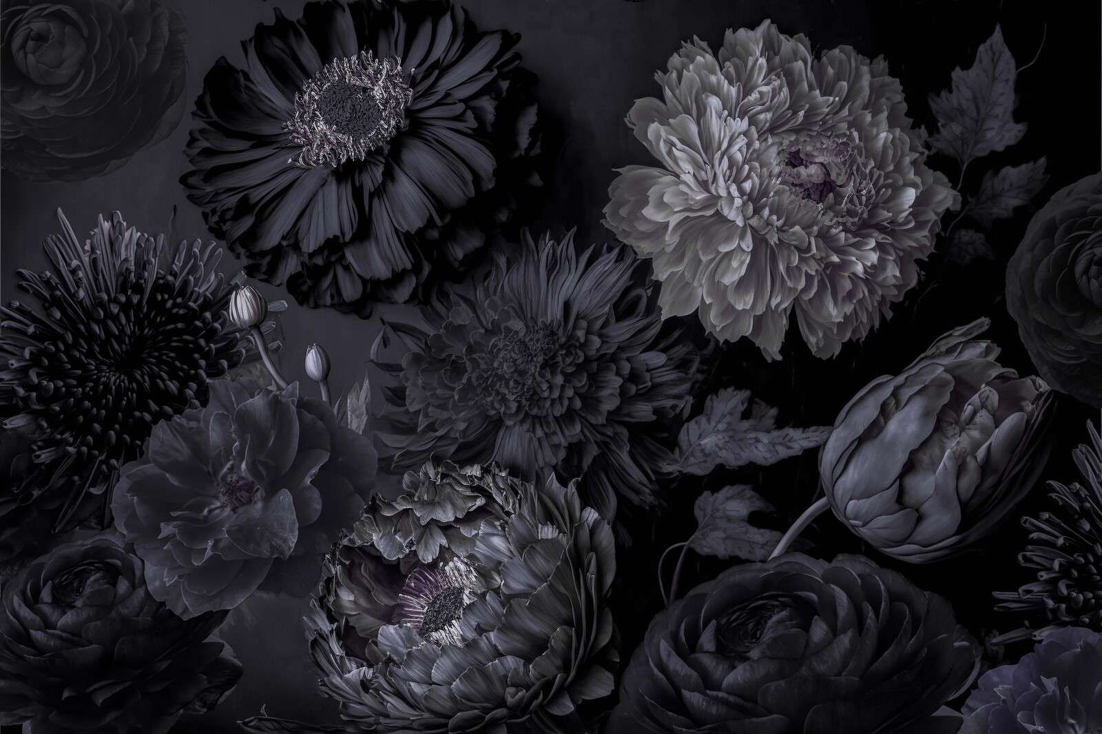 Fleurs sombres gris foncé