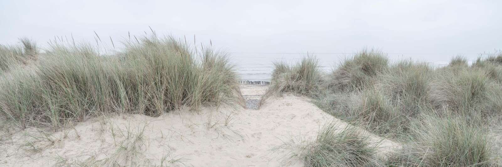 Dunes brumeuses sur une côte tranquille