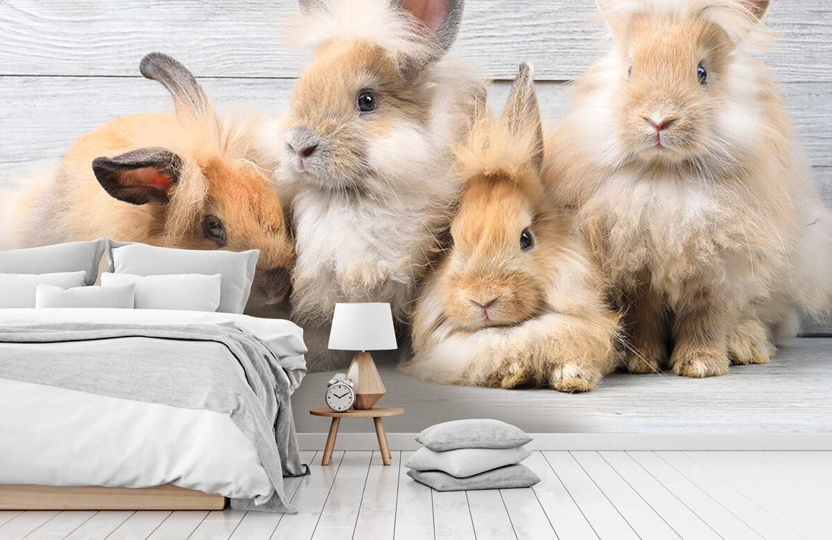 Wallpaper Petits lapins 9