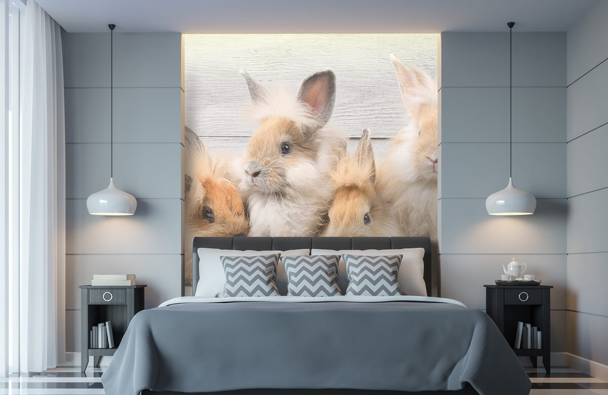 Wallpaper Petits lapins 11