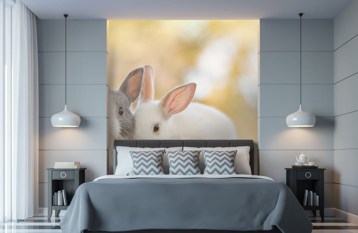 Wallpaper Gros plan sur des lapins 11