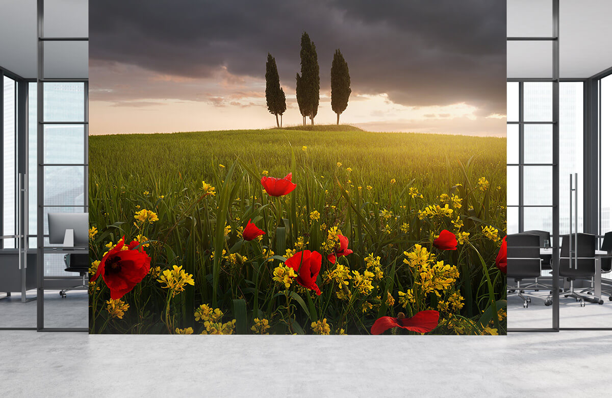 Landscape Blooming Tuscany 6
