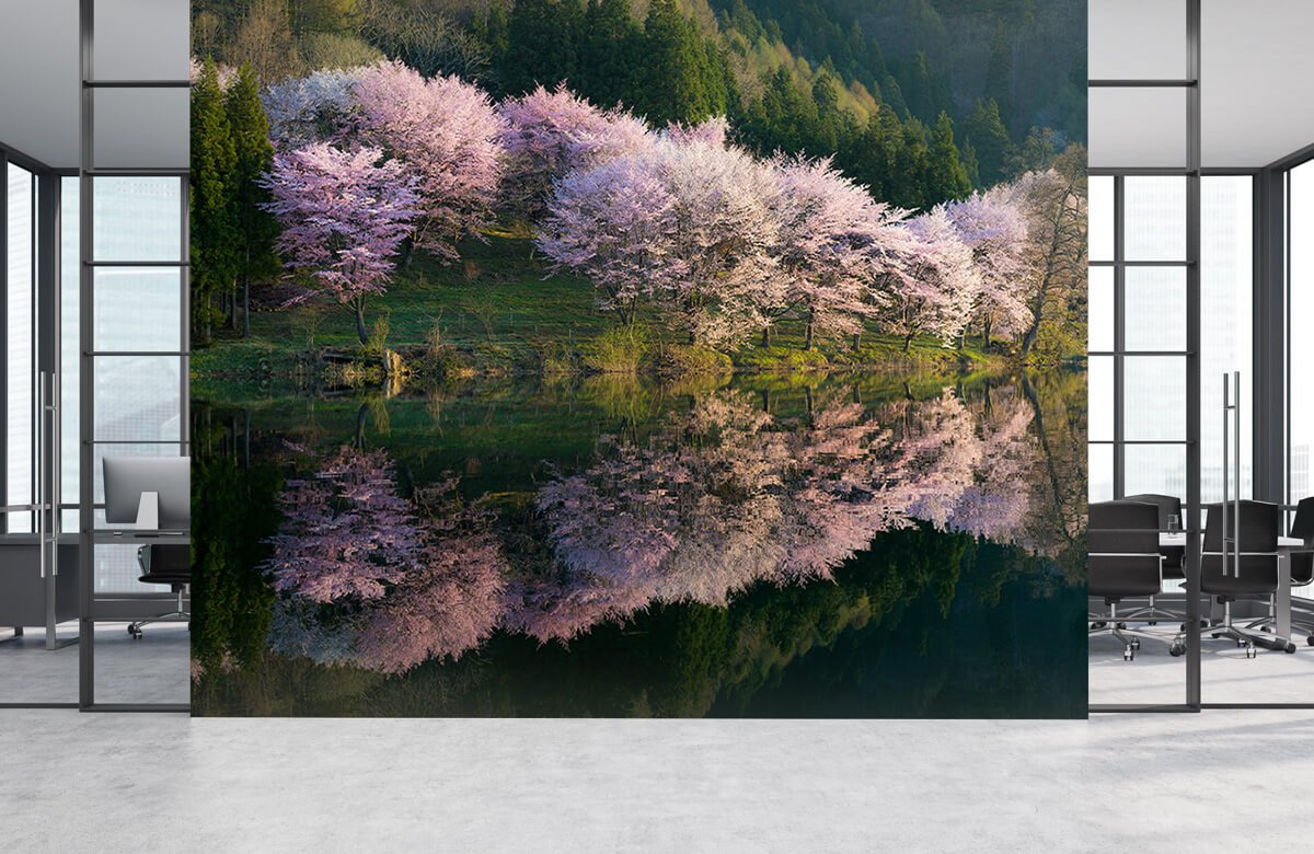 Landscape Sakura 6