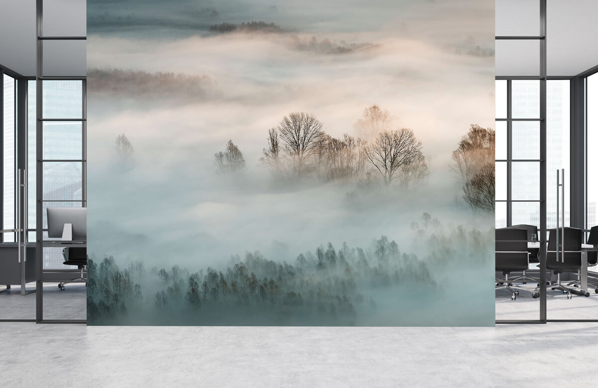 Landschap Winter fog 6