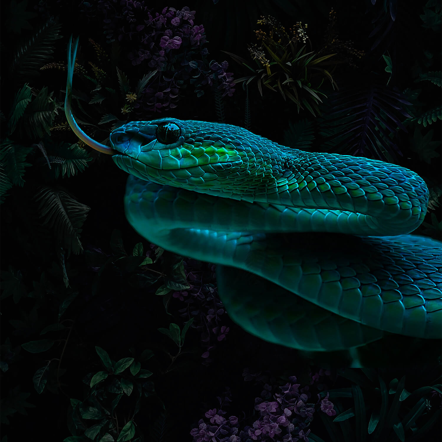 Tissu De Peau De Serpent - France